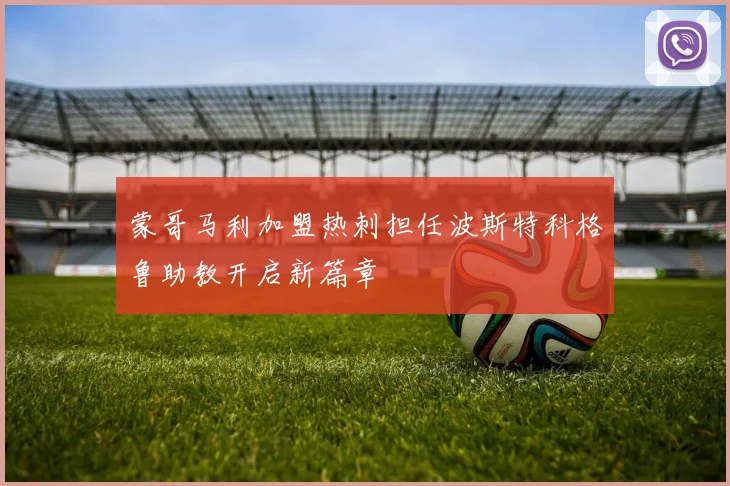 蒙哥马利加盟热刺担任波斯特科格鲁助教开启新篇章